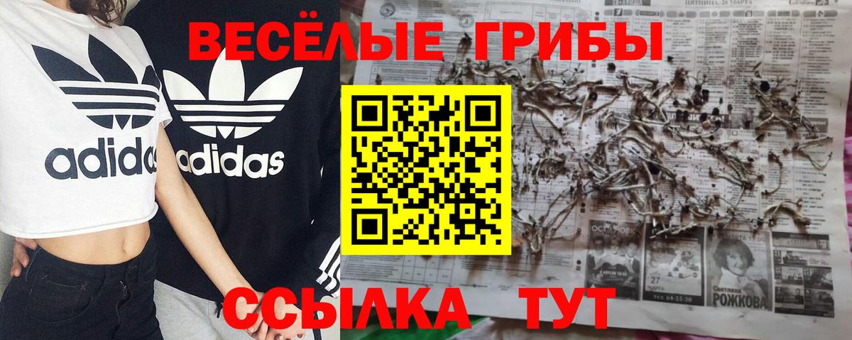 Галлюциногенные грибы мухоморы Серов
